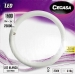 tubo-fluorescente-led-circular-cegasa-1u